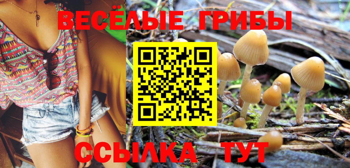 Псилоцибиновые грибы Psilocybine cubensis  Вход с VPN  Тимашёвск 